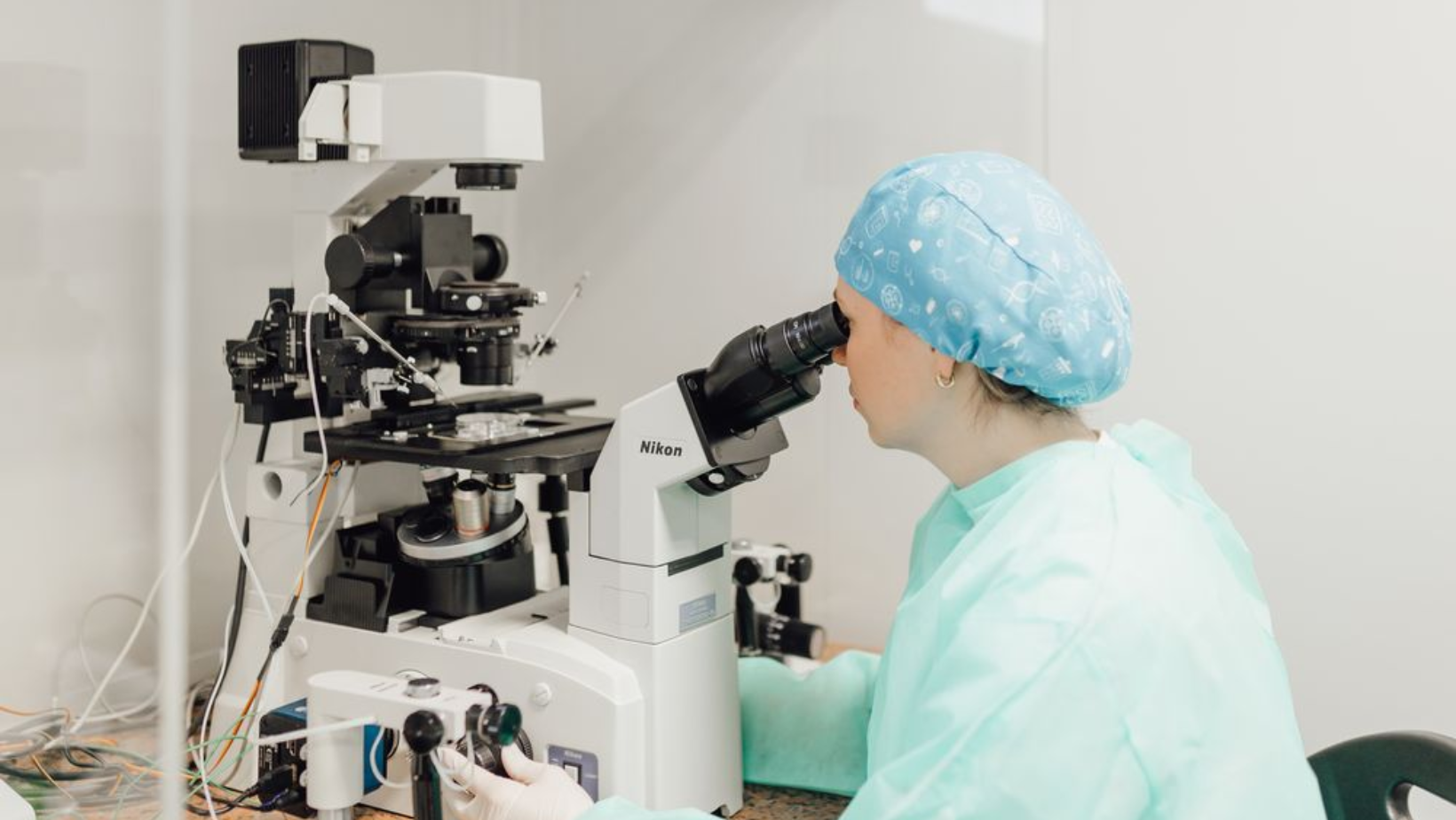 Embriolog na mikroskopu